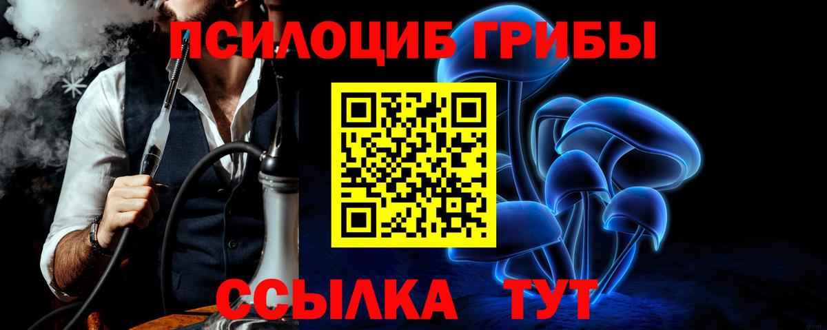 Галлюциногенные грибы Psilocybine cubensis Борзя